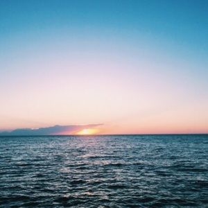 Meet your Posher, Sadie